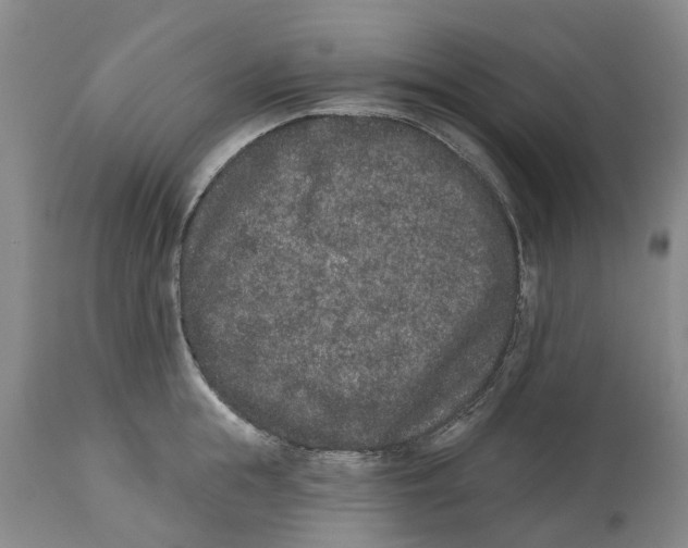 X0000114990855200911161512