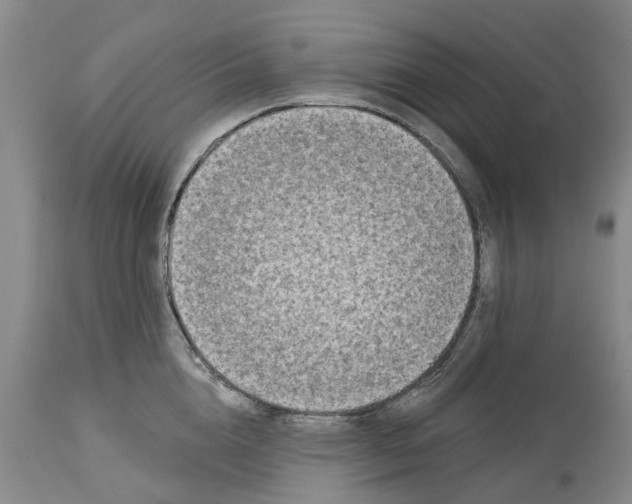 X0000114990856200911161512