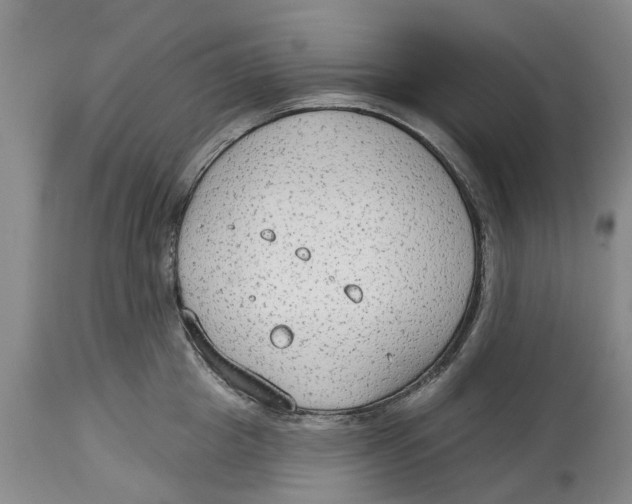 X0000114990857200911161512