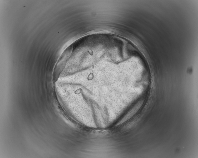 X0000114990858200911161512