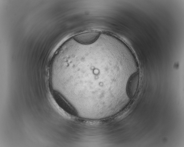 X0000114990859200911161512