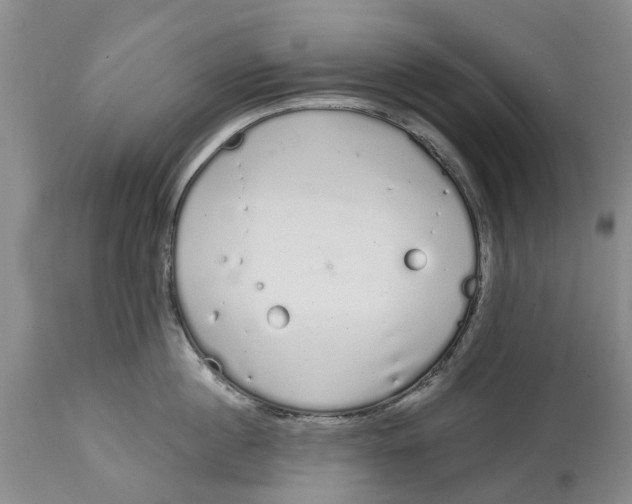 X0000114990860200911161512