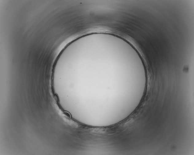 X0000114990861200911161512