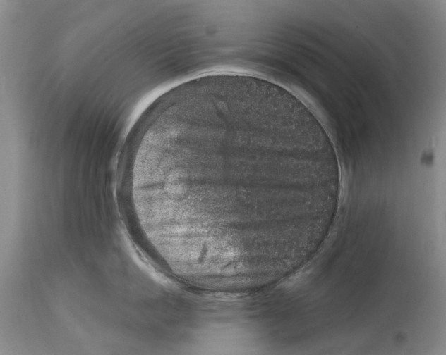 X0000114990862200911161512