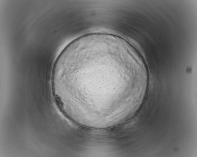 X0000114990863200911161512