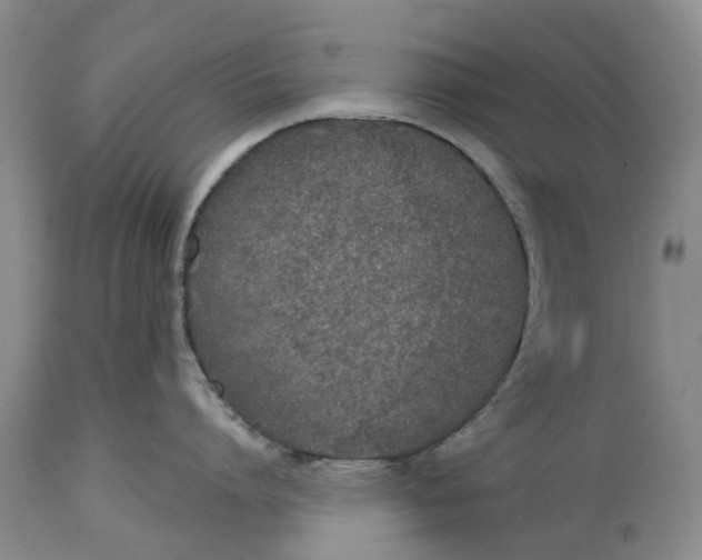 X0000114990864200911161512