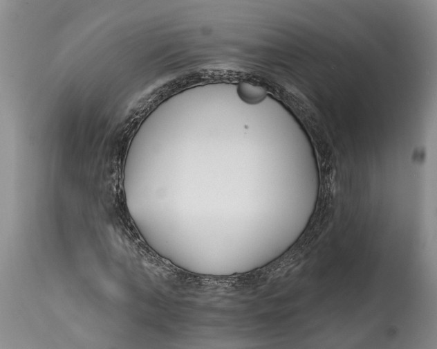 X0000114990870200911161511