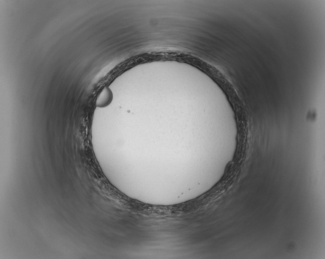 X0000114990871200911161511