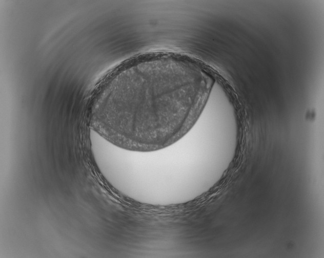 X0000114990872200911161511