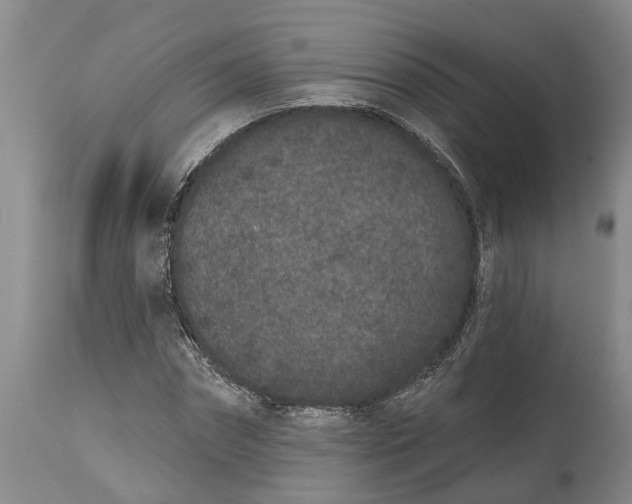 X0000114990874200911161511