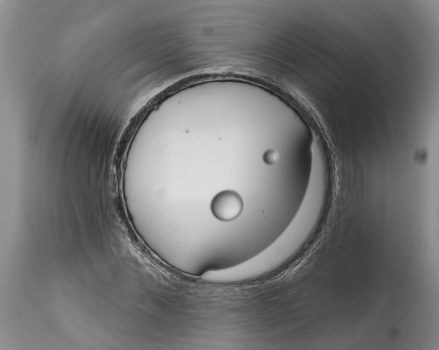 X0000114990876200911161511