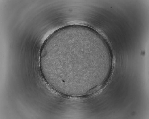 X0000114990877200911161511