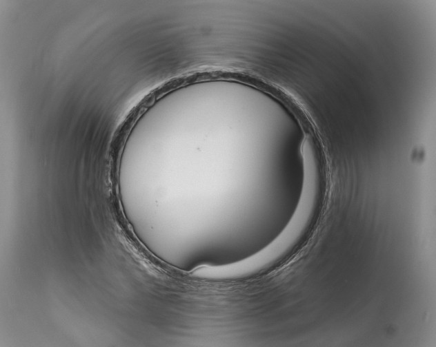 X0000114990878200911161511