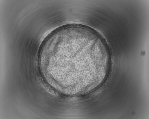 X0000114990879200911161511