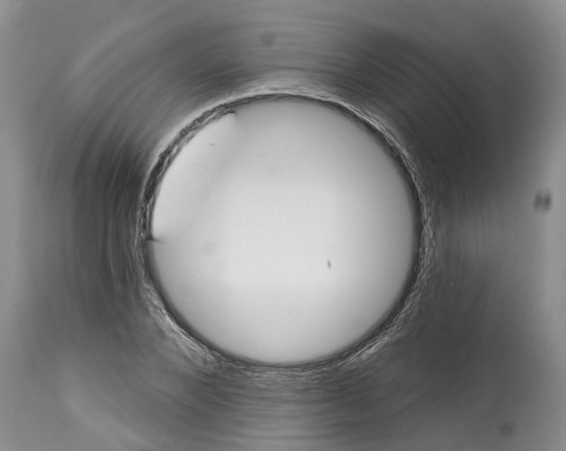 X0000114990880200911161511