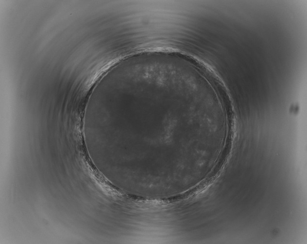 X0000114990881200911161511