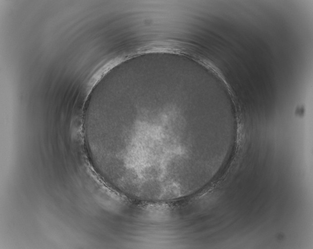 X0000114990882200911161511