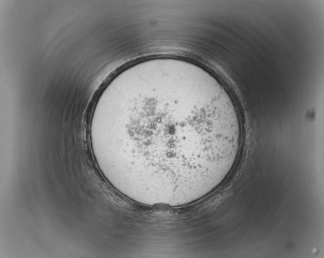 X0000114990883200911161511