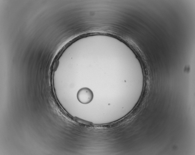 X0000114990884200911161511