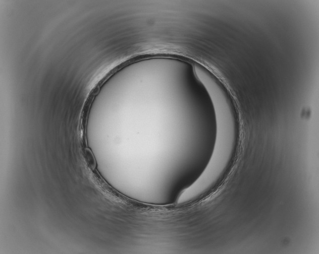 X0000114990885200911161511