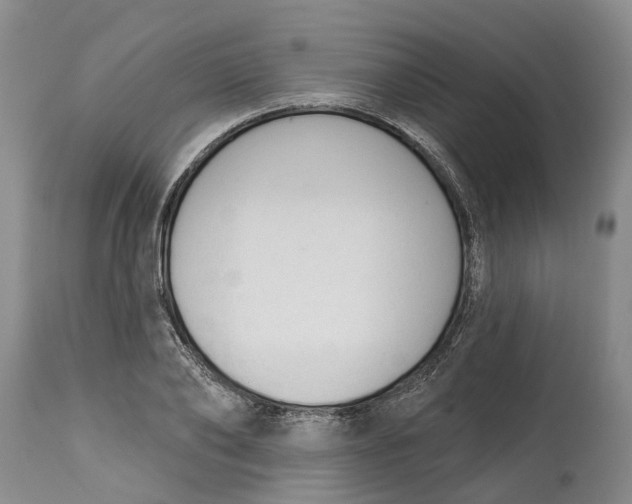 X0000114990886200911161511