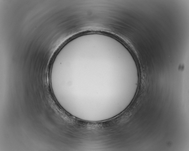 X0000114990887200911161511