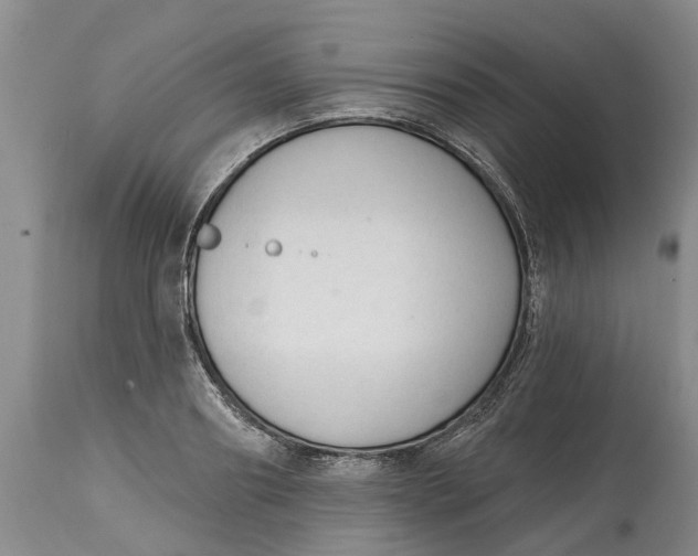 X0000114990890200911161511