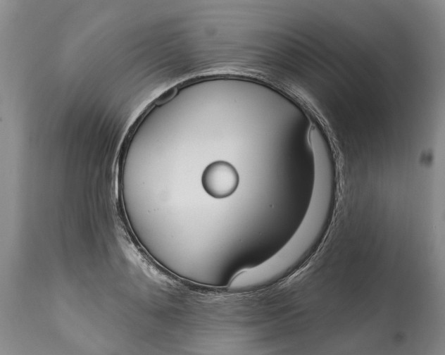 X0000114990892200911161511