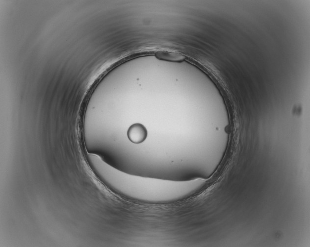 X0000114990893200911161511