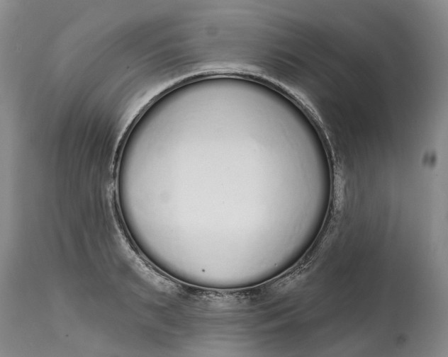 X0000114990895200911161511