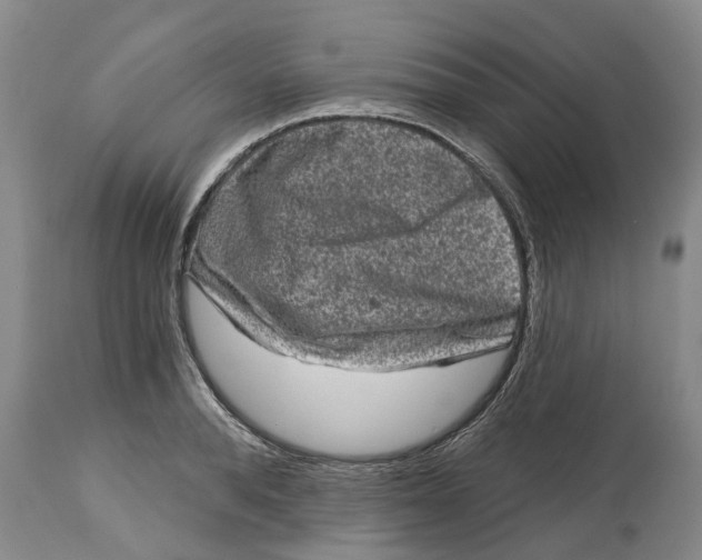 X0000114990896200911161511