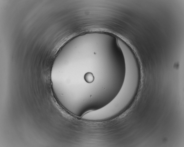 X0000114990897200911161511