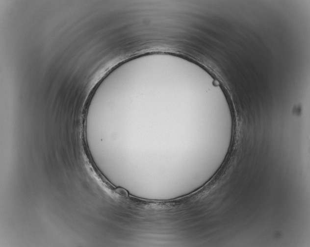 X0000114990898200911161511