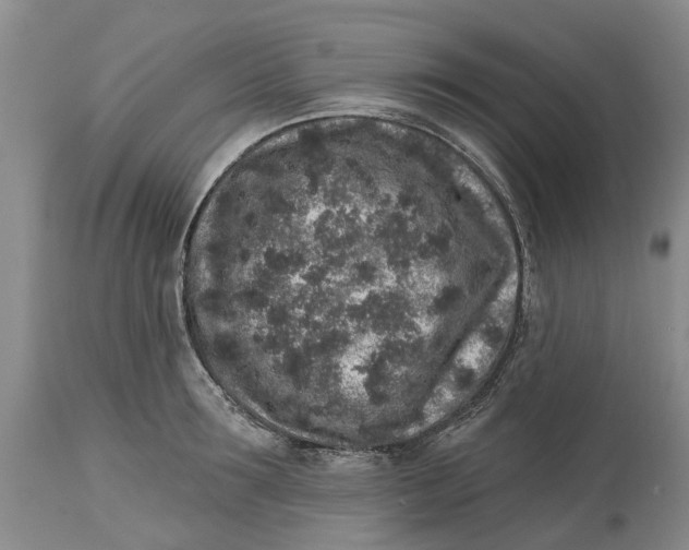 X0000114990899200911161511