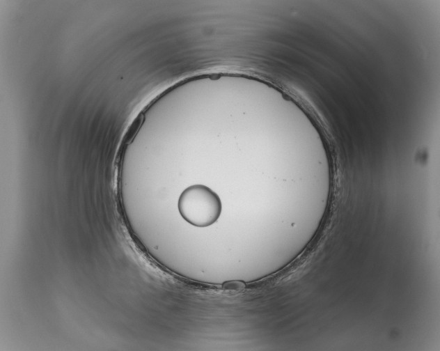 X0000114990900200911161511