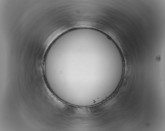 X0000114990901200911161511