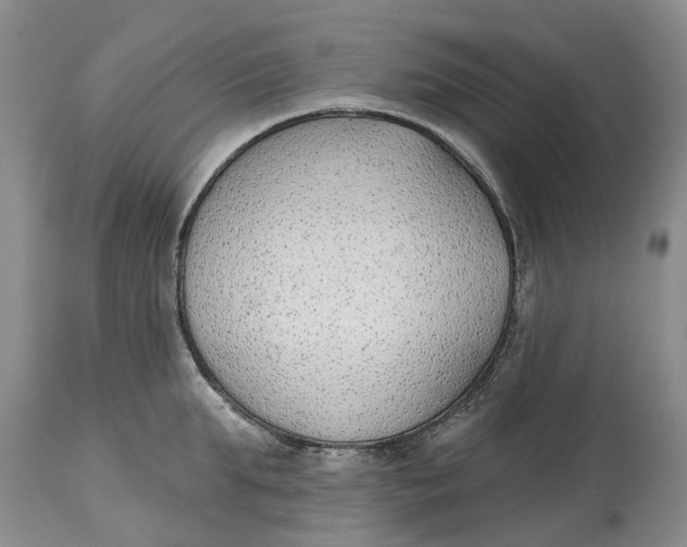 X0000114990903200911161511