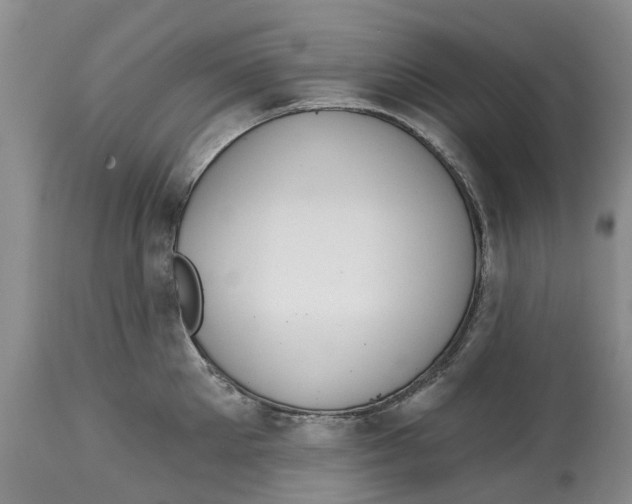 X0000114990905200911161511