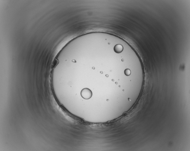 X0000114990906200911161511