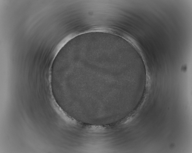 X0000114990907200911161511