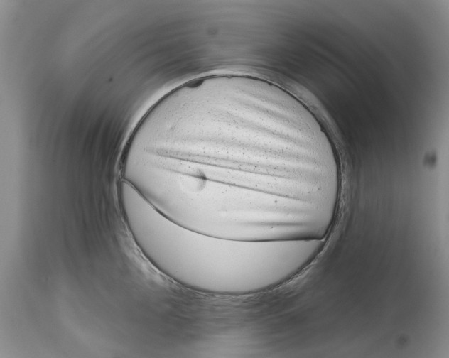 X0000114990908200911161511