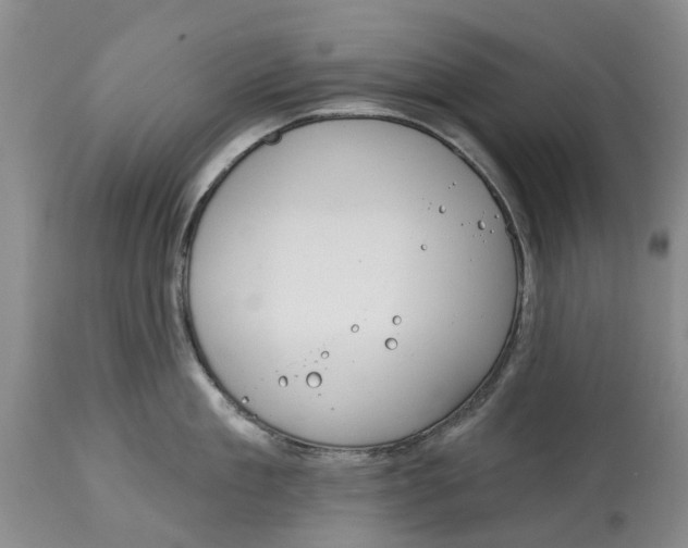 X0000114990909200911161511