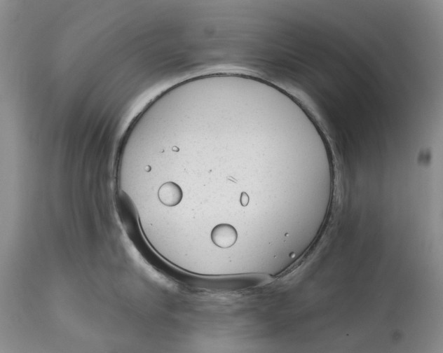 X0000114990910200911161511