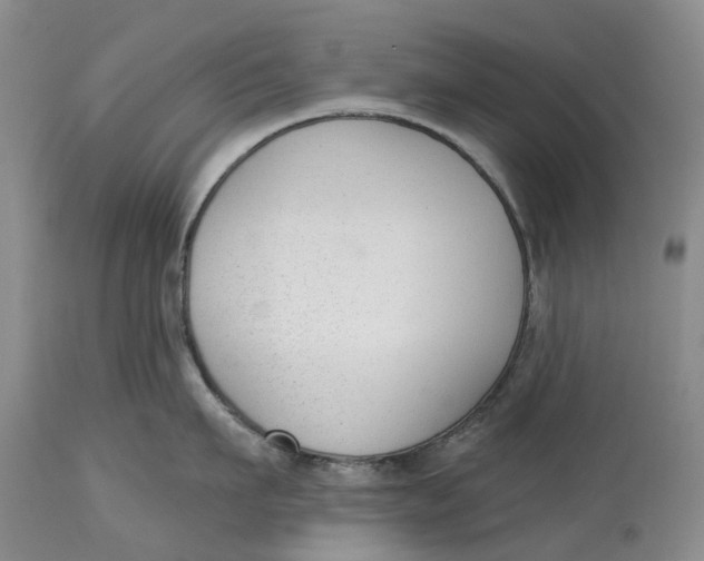 X0000114990911200911161511