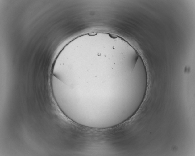 X0000114990912200911161511