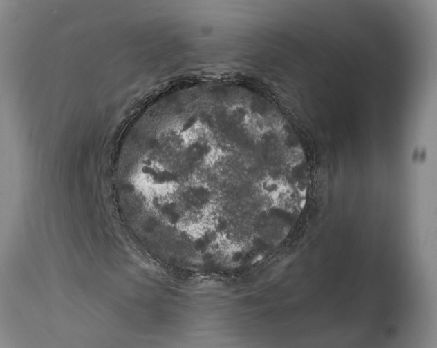 X0000114990913200911161510