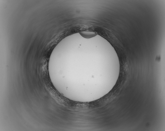 X0000114990914200911161510