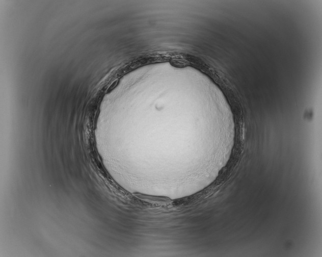 X0000114990915200911161510