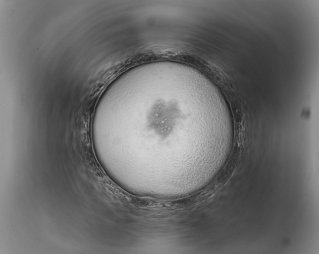 X0000114990917200911161510