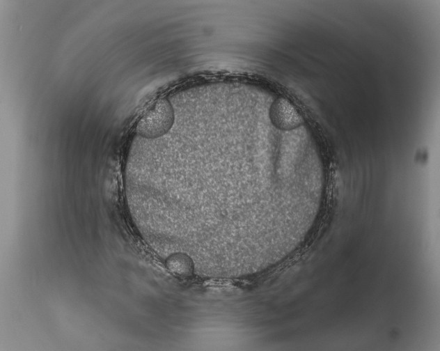 X0000114990918200911161510